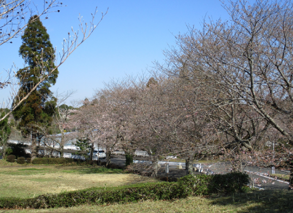 2021年3月17日