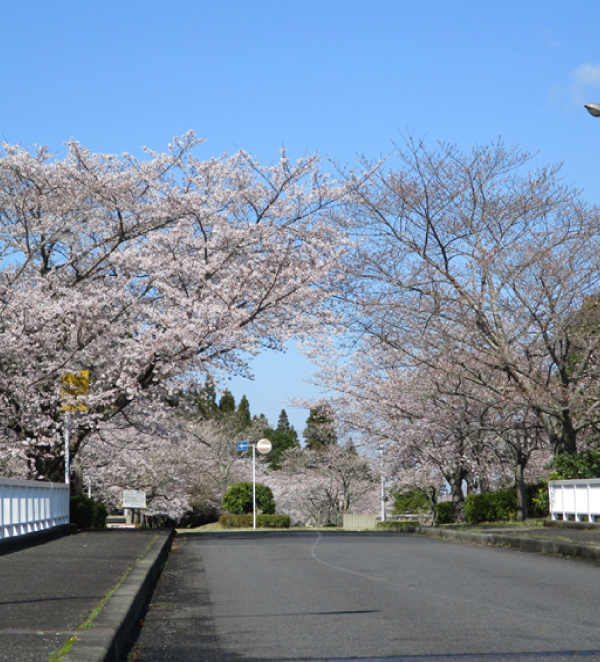 2021年3月17日