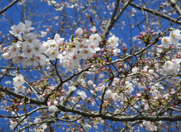 2021年3月17日