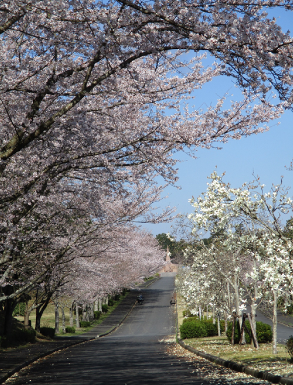 2021年3月17日