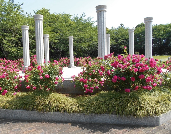 人気の芝生墓地 -ローズヒルズ-