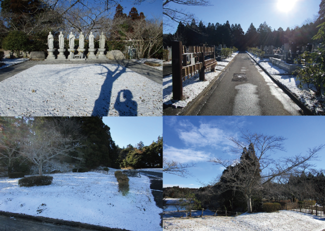 初雪が降りました