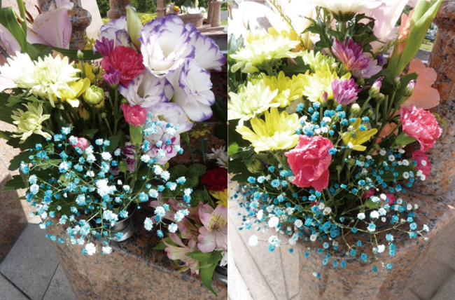 ６月供養塔の献花を行いました。