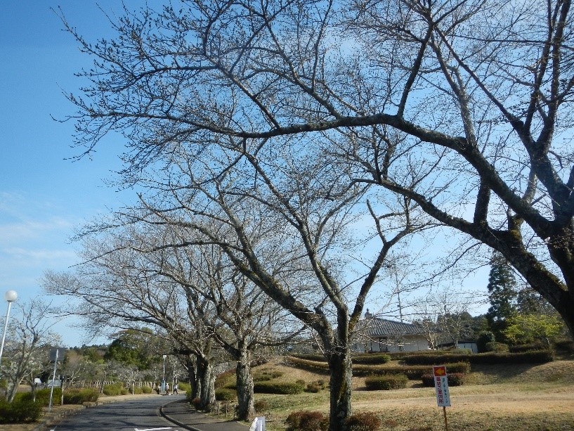 橋手前分岐付近