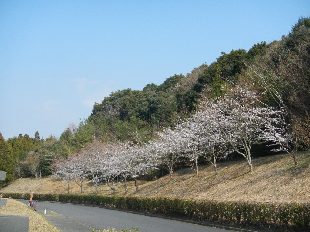 ６・８区側外周道路