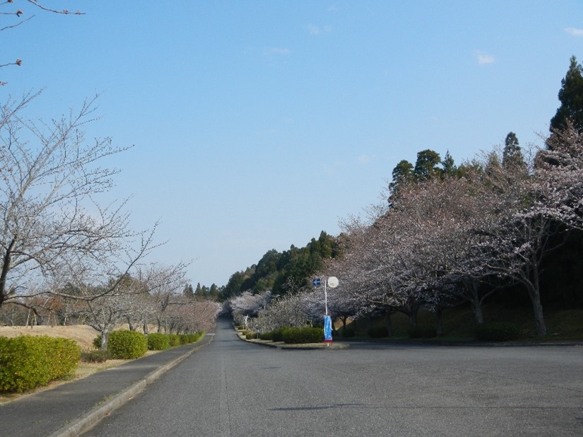 供養塔前　道路