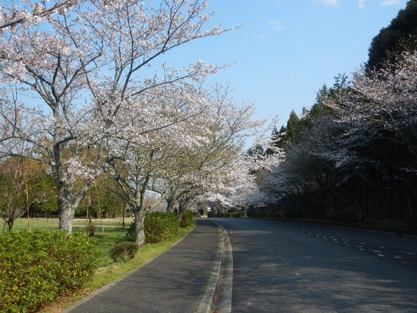 供養塔前　道路