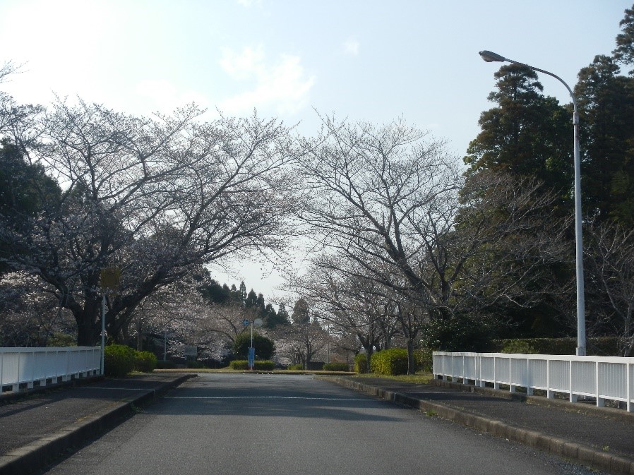 メモリアルパーク橋