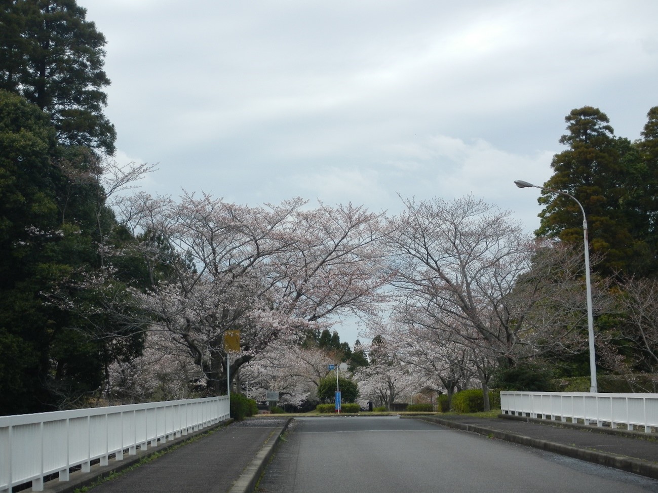 メモリアルパーク橋