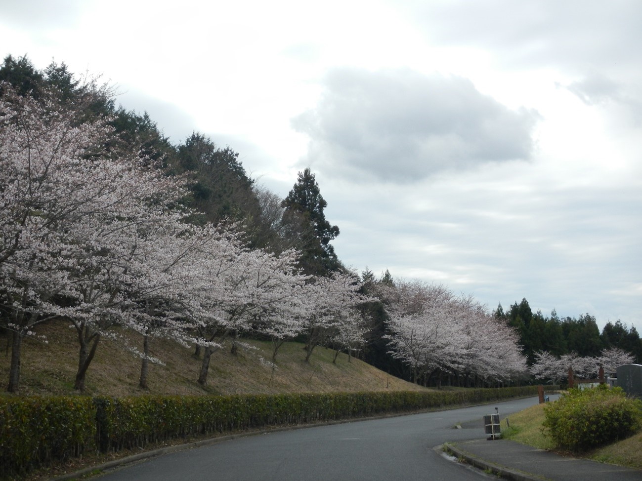 8・6区外周道路