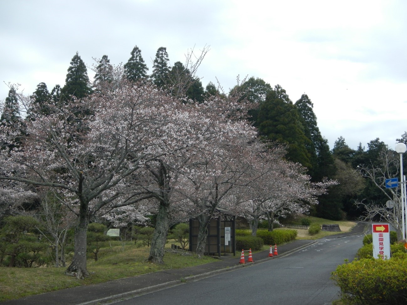 １区バス停付近