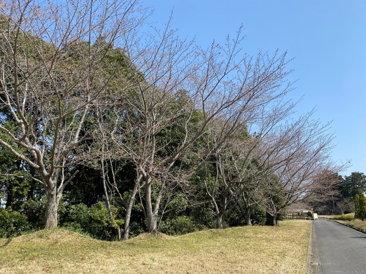 永代供養塔裏