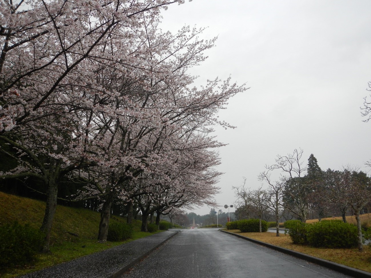 供養塔前通路