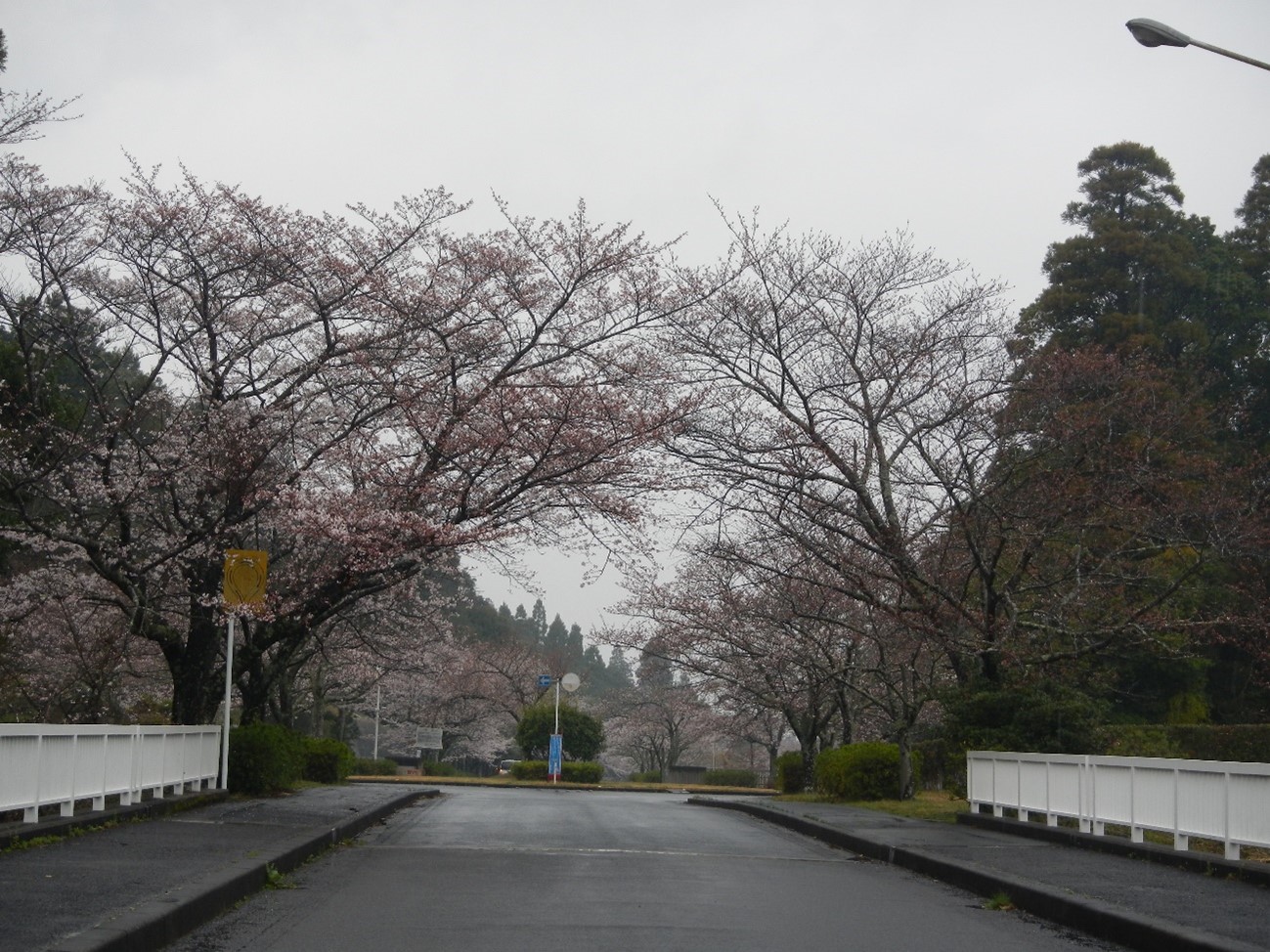 メモリアルパーク橋