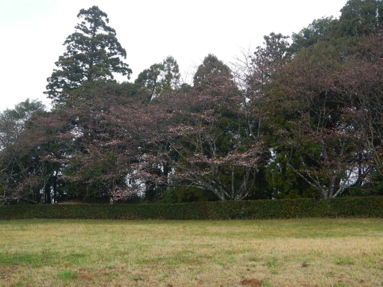 永代供養塔裏