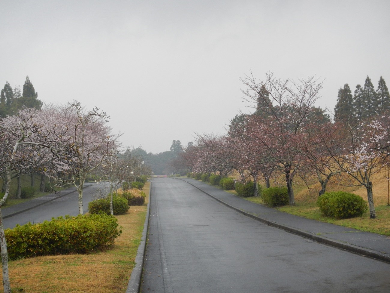 供養塔前通路