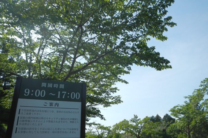 GW帰省　お墓参り