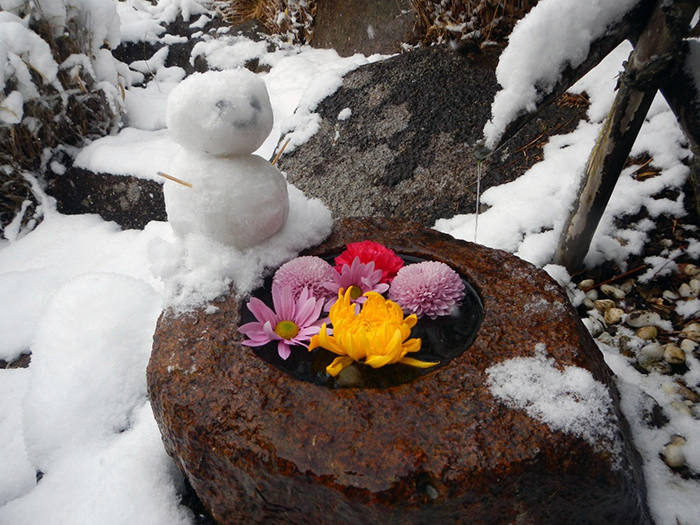 冬の積雪と安全への配慮 ― 2月8日 成田メモリアルパーク園内の様子