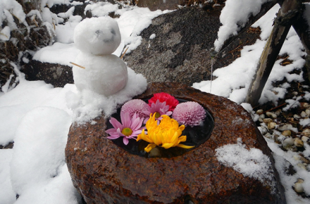 冬の積雪と安全への配慮 ― 2月8日 成田メモリアルパーク園内の様子