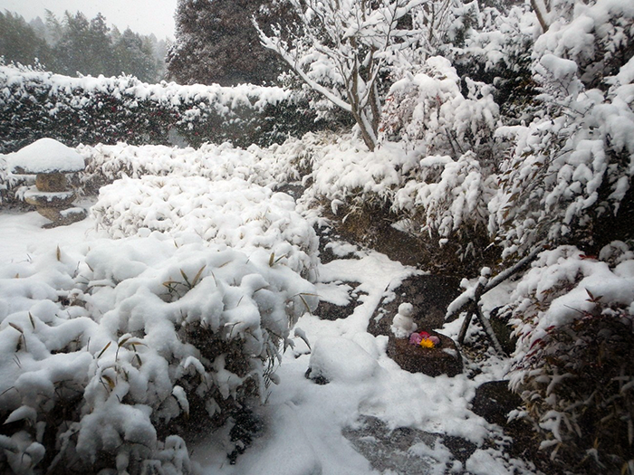 冬の積雪と安全への配慮 ― 2月8日 成田メモリアルパーク園内の様子