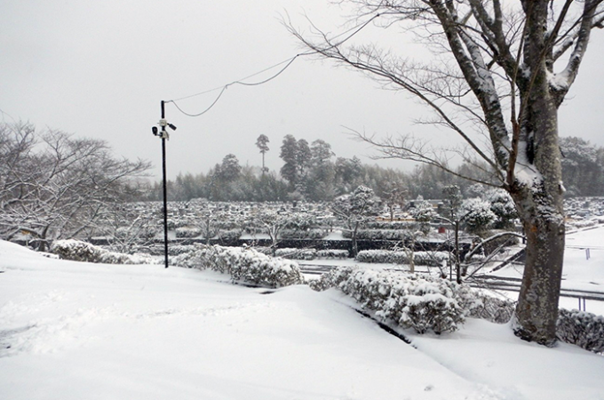 【降雪】臨時休館のお知らせ