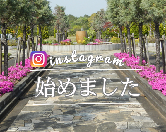 Instagram開設と春彼岸期間のご案内
