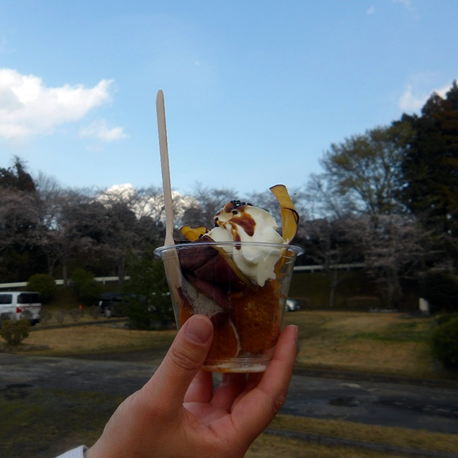 春のにぎわいに包まれて ― お花見イベント「桜もよう」開催のご報告