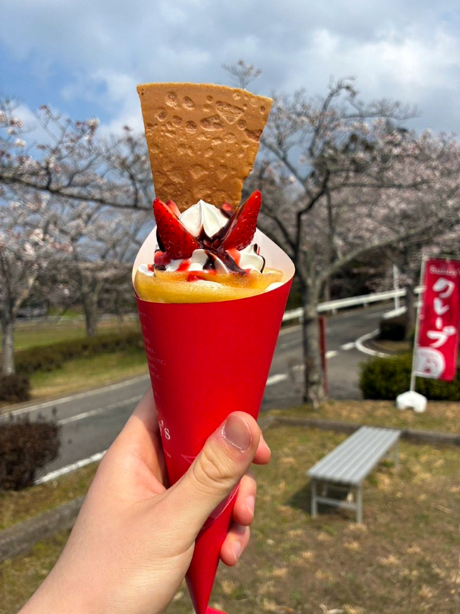 春のにぎわいに包まれて ― お花見イベント「桜もよう」開催のご報告