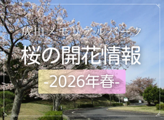 成田メモリアルパーク　桜の開花情報2026
