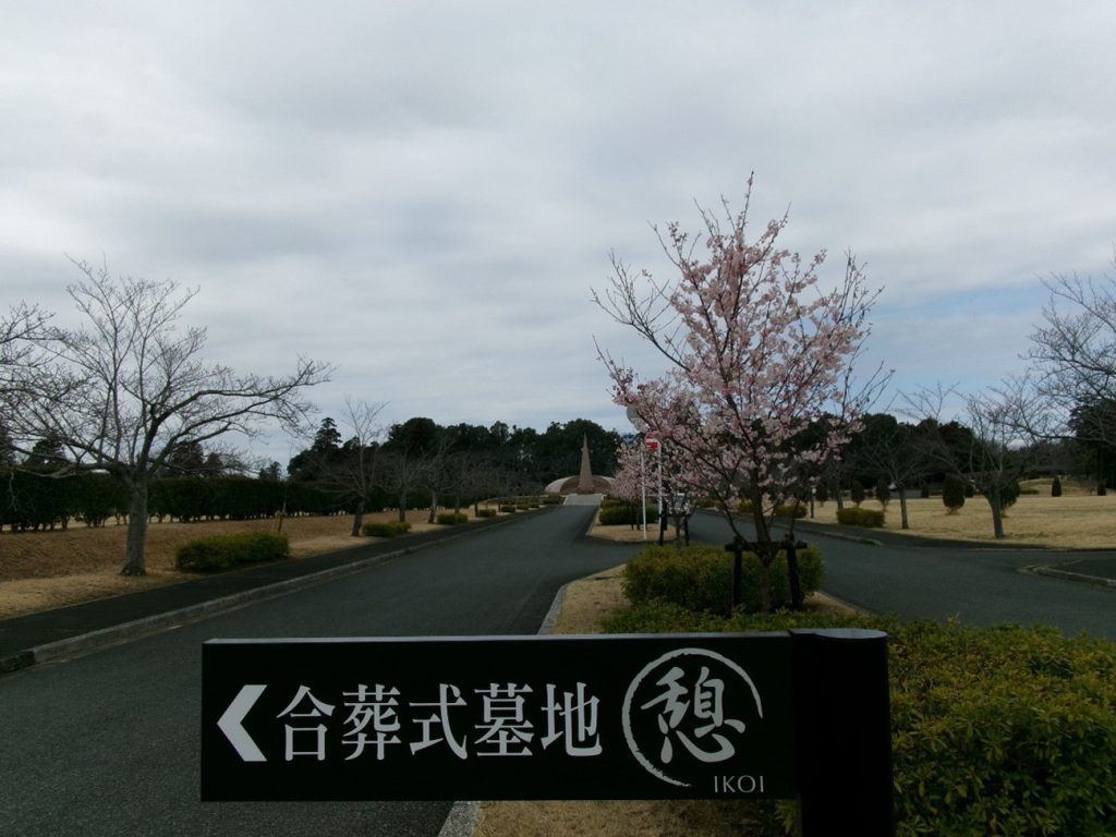 春めき　供養塔前