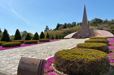 春の訪れを感じる芝桜の彩り