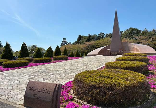 春の訪れを感じる芝桜の彩り