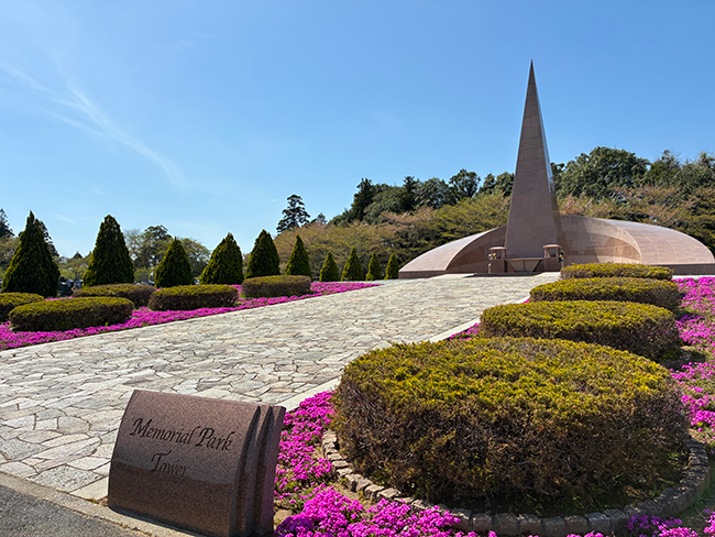春の訪れを感じる芝桜の彩り