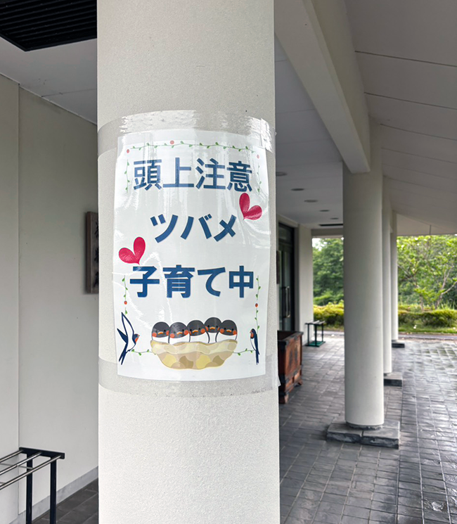 礼拝堂に訪れた小さな命｜つばめの雛たちが届けてくれる初夏の便り